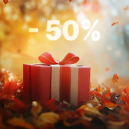 Скидка на курс Главный бухгалтер коммерческой организации (проф. переподготовка, диплом)